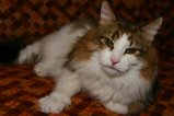 002-IMG_4835.JPG.small.jpeg