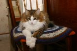 003-IMG_4837.JPG.small.jpeg