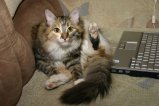 006-IMG_4841.JPG.small.jpeg