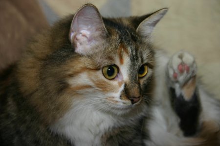 007-IMG_4842.JPG.medium.jpeg
