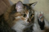 007-IMG_4842.JPG.small.jpeg