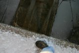 061-IMG_4961.JPG.small.jpeg