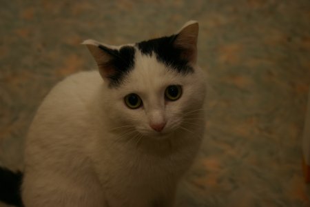 070-IMG_4980.JPG.medium.jpeg
