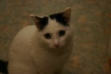 070-IMG_4980.JPG.small.jpeg