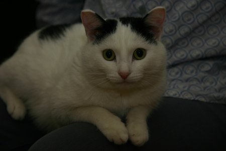 074-IMG_4984.JPG.medium.jpeg