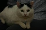 074-IMG_4984.JPG.small.jpeg