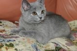 079-IMG_4992.JPG.small.jpeg