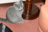 082-IMG_4995.JPG.small.jpeg