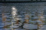 005-IMG_5047_e.JPG.small.jpeg
