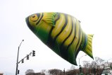 017-IMG_5118.JPG.small.jpeg