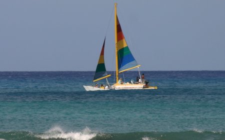 004-IMG_5148_e.JPG.medium.jpeg