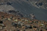 039-IMG_5214.JPG.small.jpeg