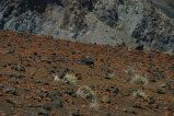 040-IMG_5215.JPG.small.jpeg