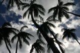 061-IMG_5250.JPG.small.jpeg