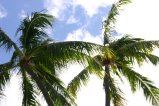 062-IMG_5251.JPG.small.jpeg