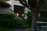 064-IMG_5256.JPG.small.jpeg