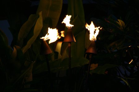 067-IMG_5269.JPG.medium.jpeg