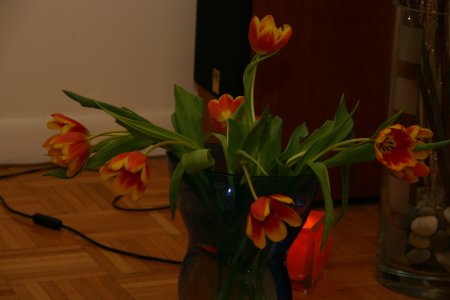 007-IMG_5308.JPG.medium.jpeg