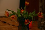 007-IMG_5308.JPG.small.jpeg