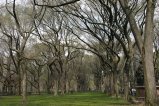 016-IMG_5329.JPG.small.jpeg