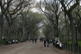 017-IMG_5330.JPG.small.jpeg