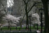 018-IMG_5331.JPG.small.jpeg