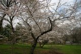 019-IMG_5332.JPG.small.jpeg
