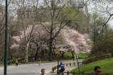 020-IMG_5333.JPG.small.jpeg