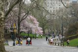 024-IMG_5338.JPG.small.jpeg