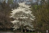 025-IMG_5339.JPG.small.jpeg