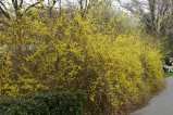 026-IMG_5342.JPG.small.jpeg