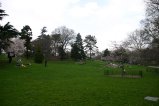 028-IMG_5345.JPG.small.jpeg