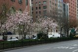 032-IMG_5354.JPG.small.jpeg