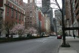 033-IMG_5355.JPG.small.jpeg