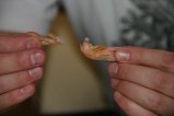 000-IMG_5376.JPG.small.jpeg