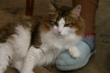 014-IMG_5401.JPG.small.jpeg
