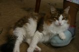015-IMG_5402.JPG.small.jpeg