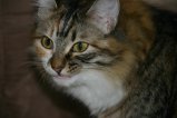027-IMG_5432.JPG.small.jpeg