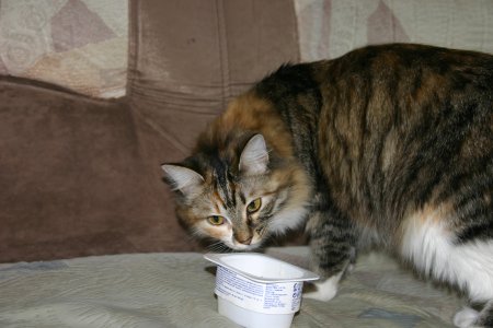 028-IMG_5433.JPG.medium.jpeg