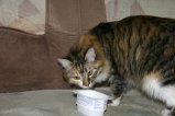 028-IMG_5433.JPG.small.jpeg