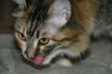 029-IMG_5434.JPG.small.jpeg