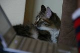 036-IMG_5447.JPG.small.jpeg