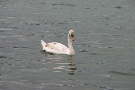 002-IMG_5495.JPG.medium.jpeg