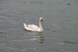 002-IMG_5495.JPG.small.jpeg