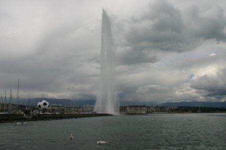 004-IMG_5497.JPG.medium.jpeg