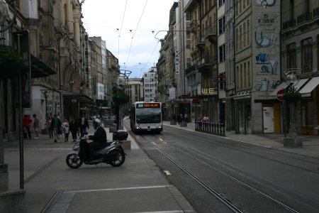 010-IMG_5513.JPG.medium.jpeg