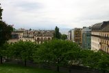 019-IMG_5531.JPG.small.jpeg