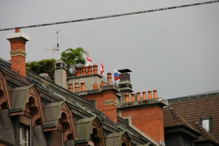 022-IMG_5536.JPG.medium.jpeg