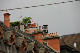 022-IMG_5536.JPG.small.jpeg