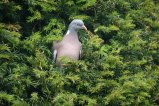 026-IMG_5547.JPG.small.jpeg